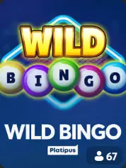 Wild Bingo en BC Game Chile