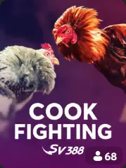 Cock Fighting en BC Game Chile